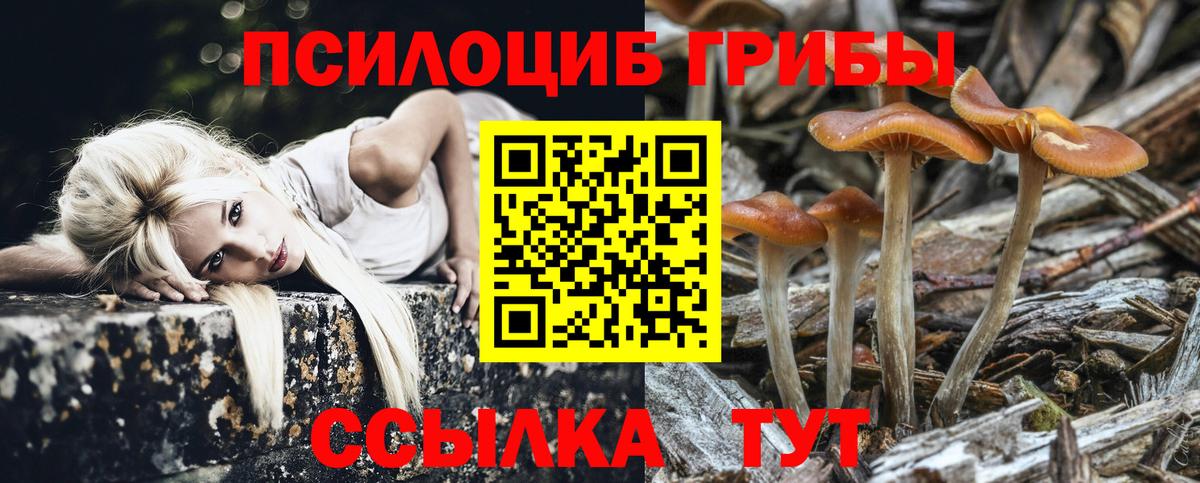 Котовск  Псилоцибиновые грибы MAGIC MUSHROOMS  Вход с VPN 