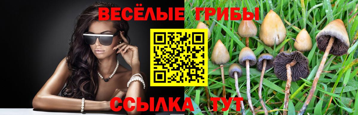 Псилоцибиновые грибы MAGIC MUSHROOMS Котовск